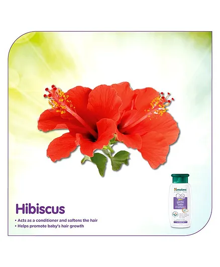 himalaya