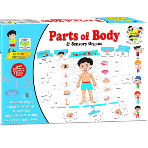 Yash Toys Parts of Body & Sensory Organs